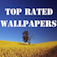 Top Rated Wallpapers